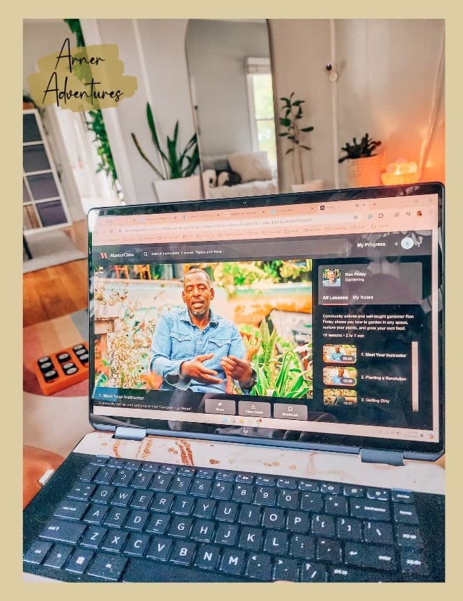 skillshare vs masterclass