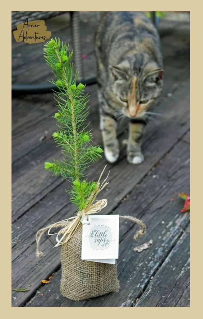 pet grief gifts