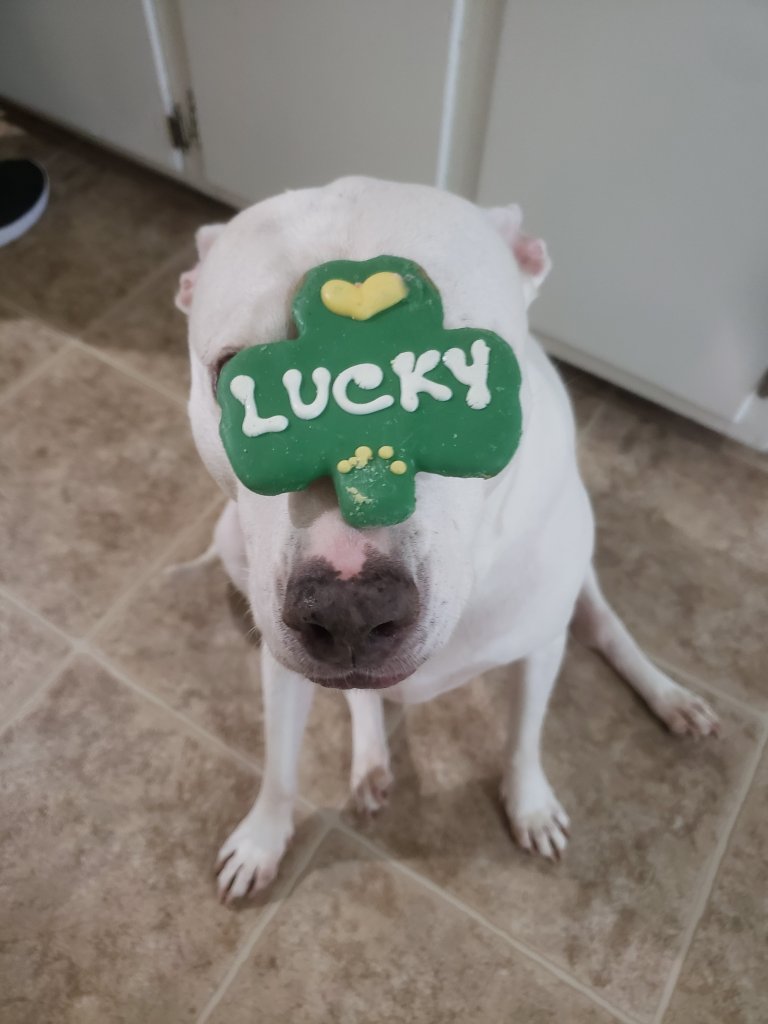 bananas during covid