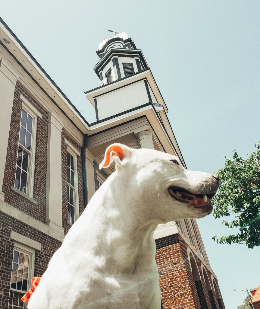 Visiting Pittsboro, NC
