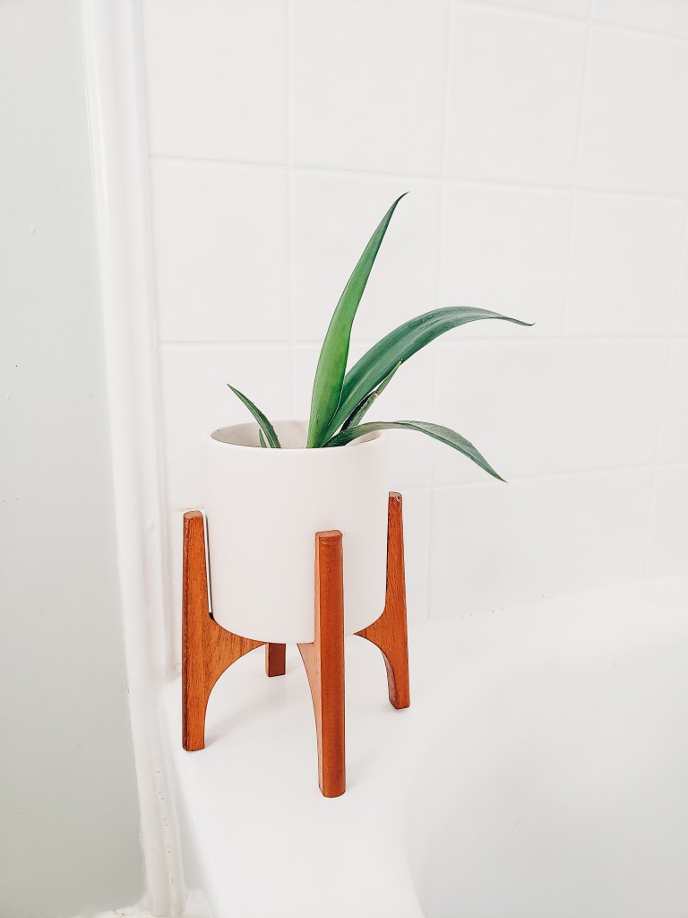 repurpose kitchen staples bath body skin care