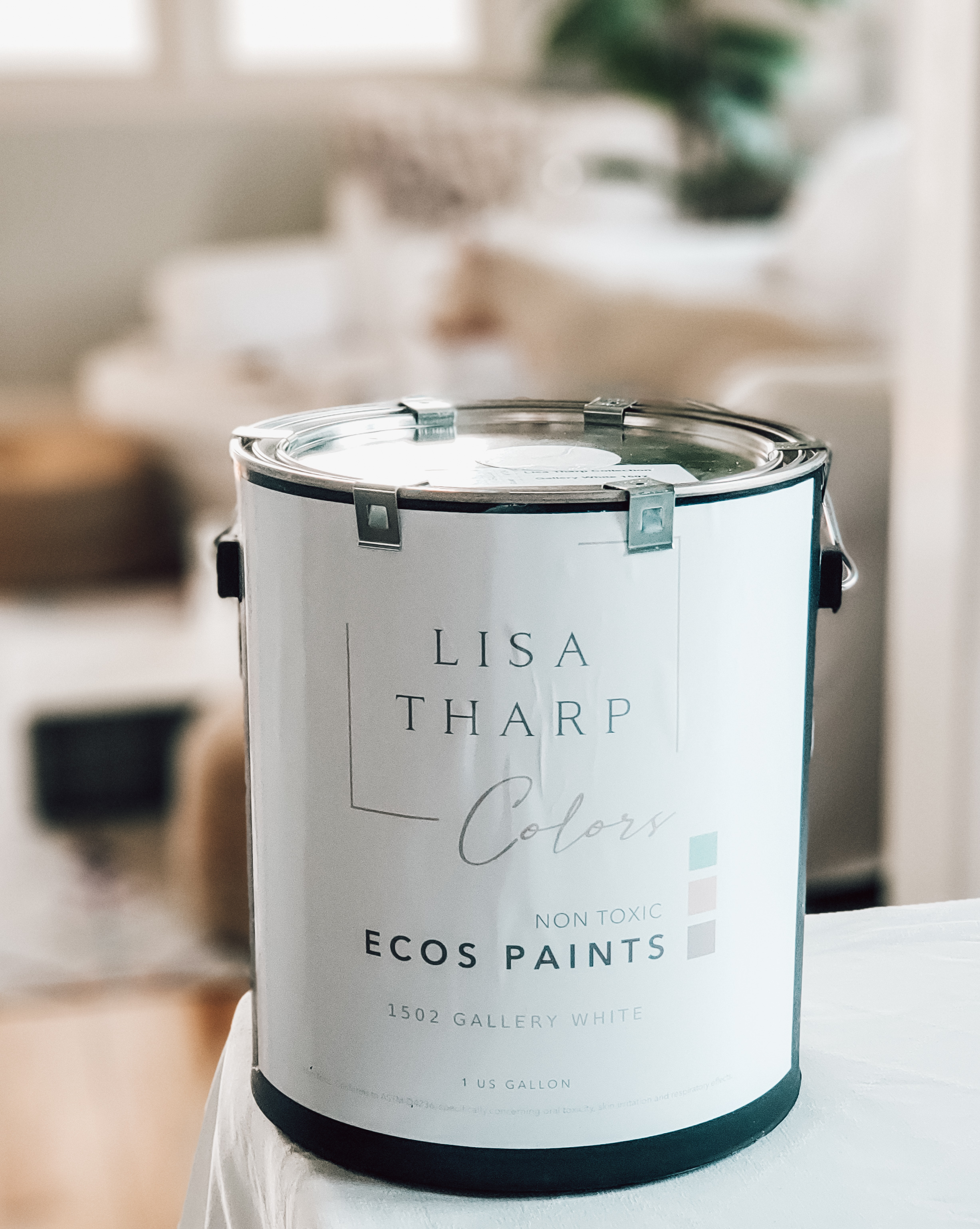 Unbelievable Kitchen Cabinet Refresh- ECOS Paints- DIY Kitchen Glow-up