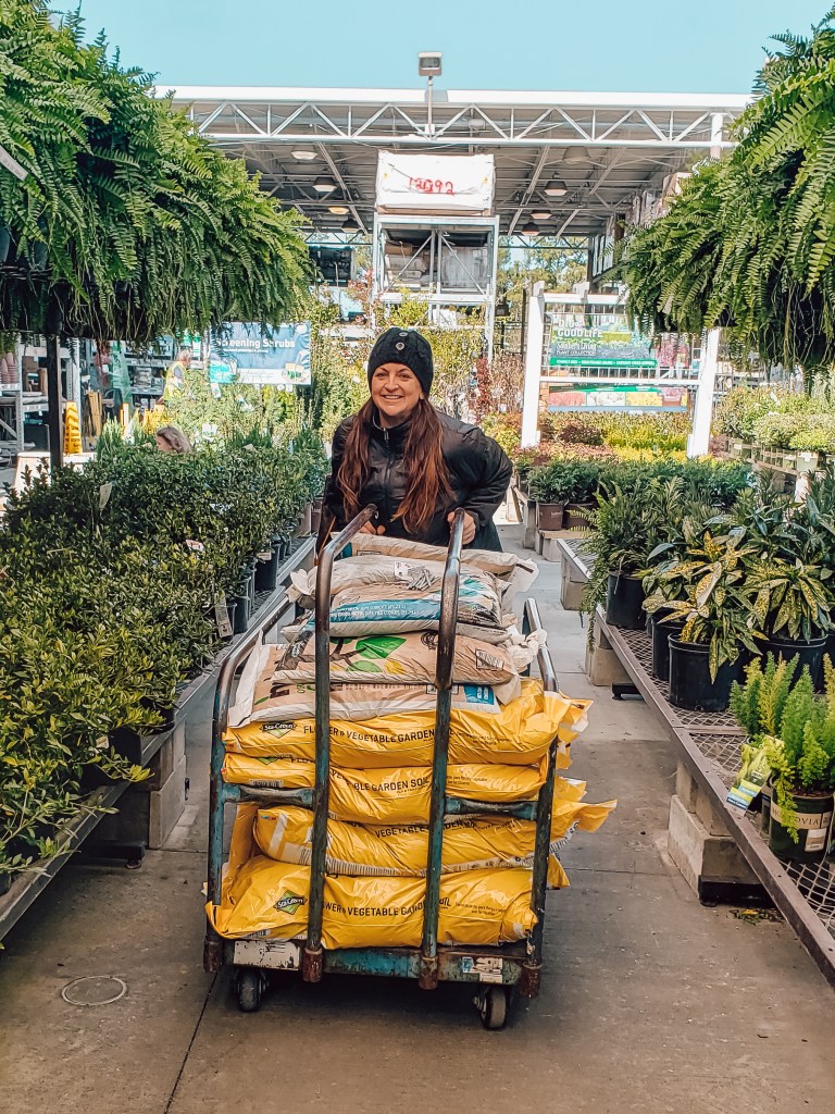 top 10 reasons to start a garden this spring