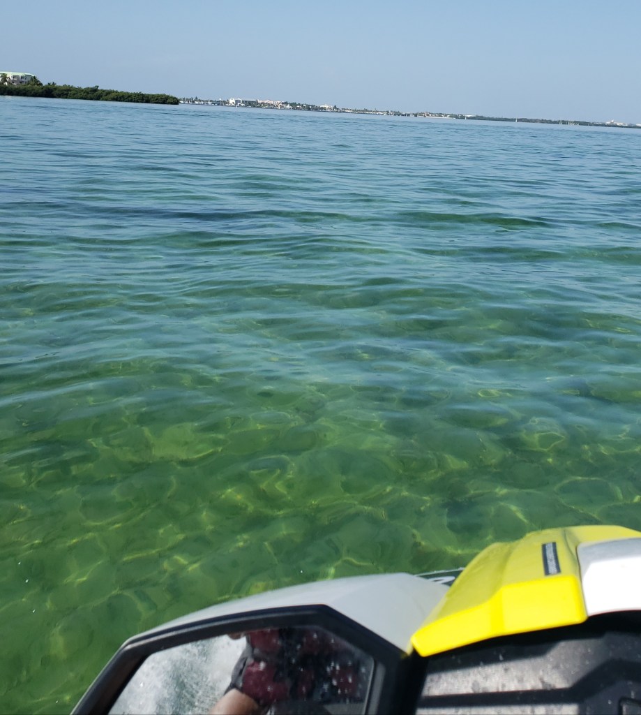 Best Things To Do in Key West