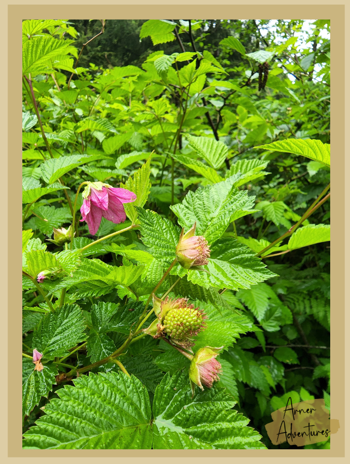 things to do in Ketchikan