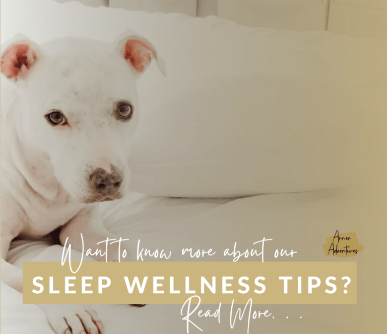 Top 12 Best Sleep Albums to Help You Get to Sleep