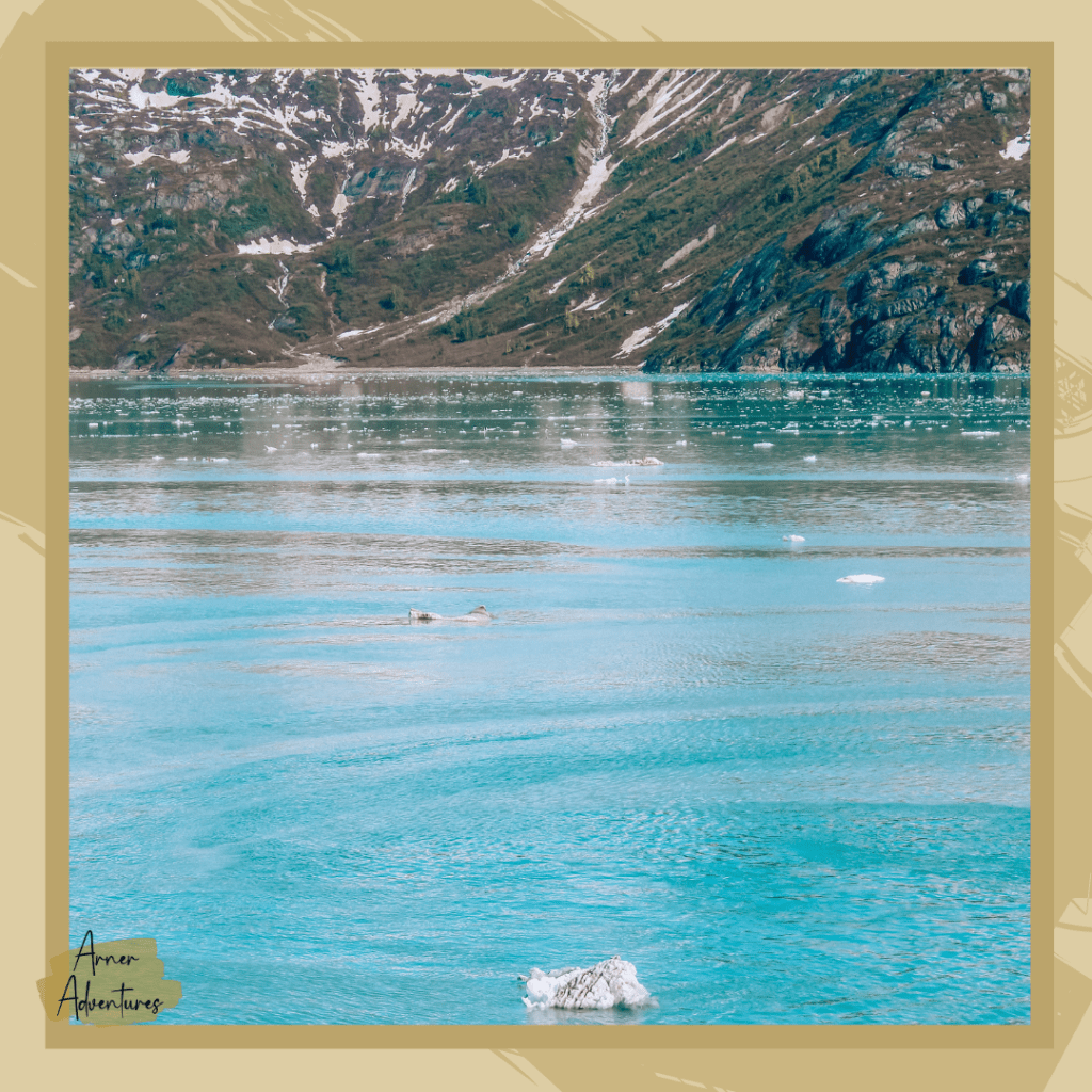 glacier bay tour by Arner Adventures