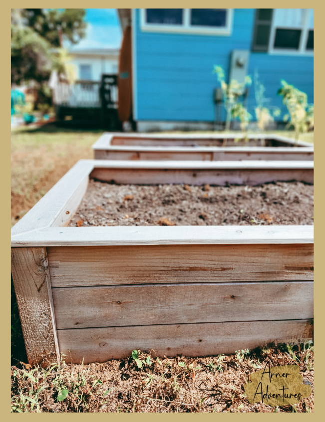 Tips for a successful fall garden