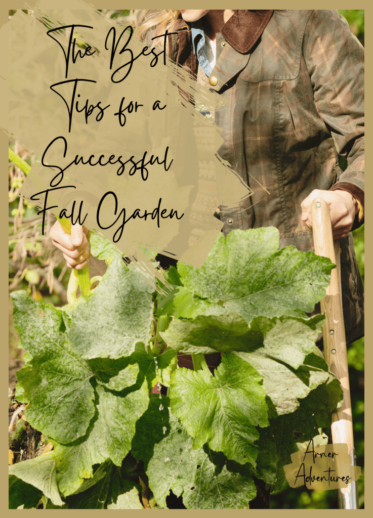 PRO TIPS for a Successful Fall Garden | YES it is possible!