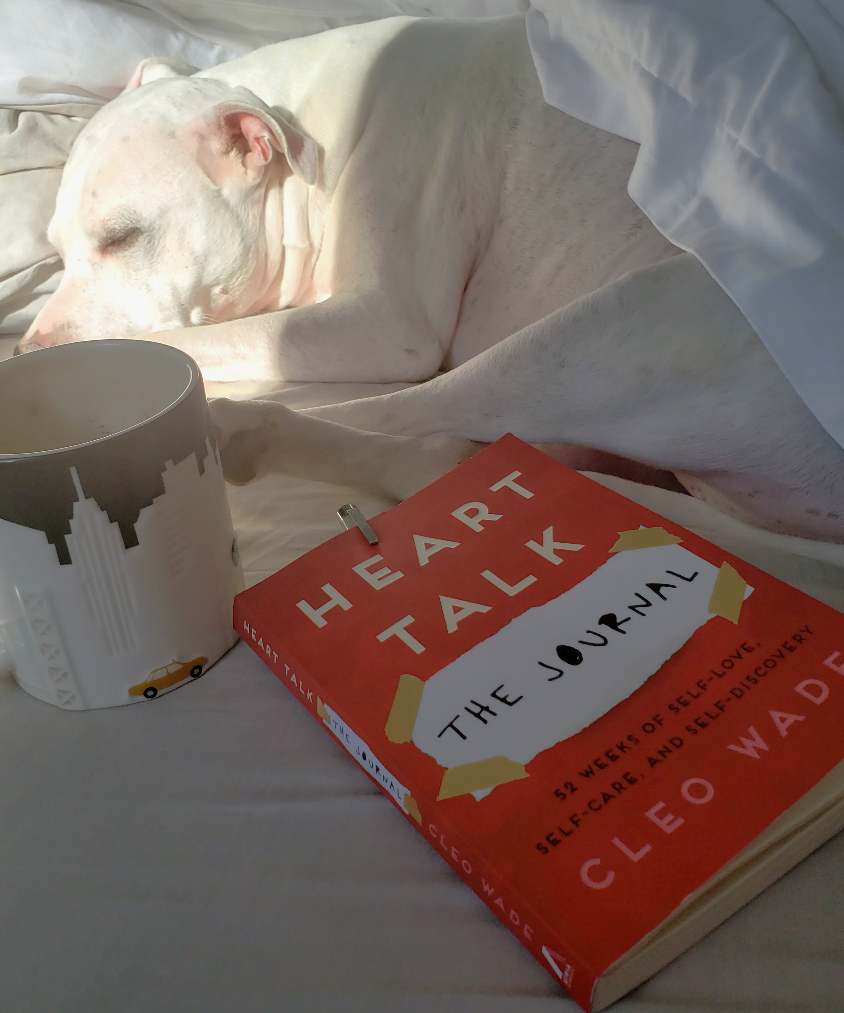 The BEST Self Care Journals Wellness Guided Journaling