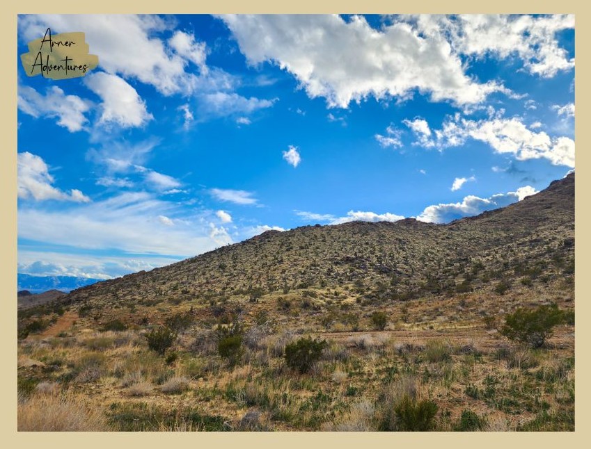 Hiking at Joshua Tree