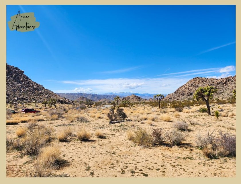 Hiking at Joshua Tree