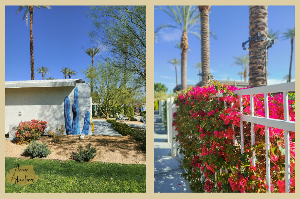 Colors at The Paloma Resort