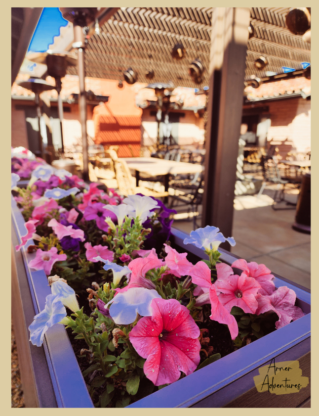 best boutique hotel in palm springs