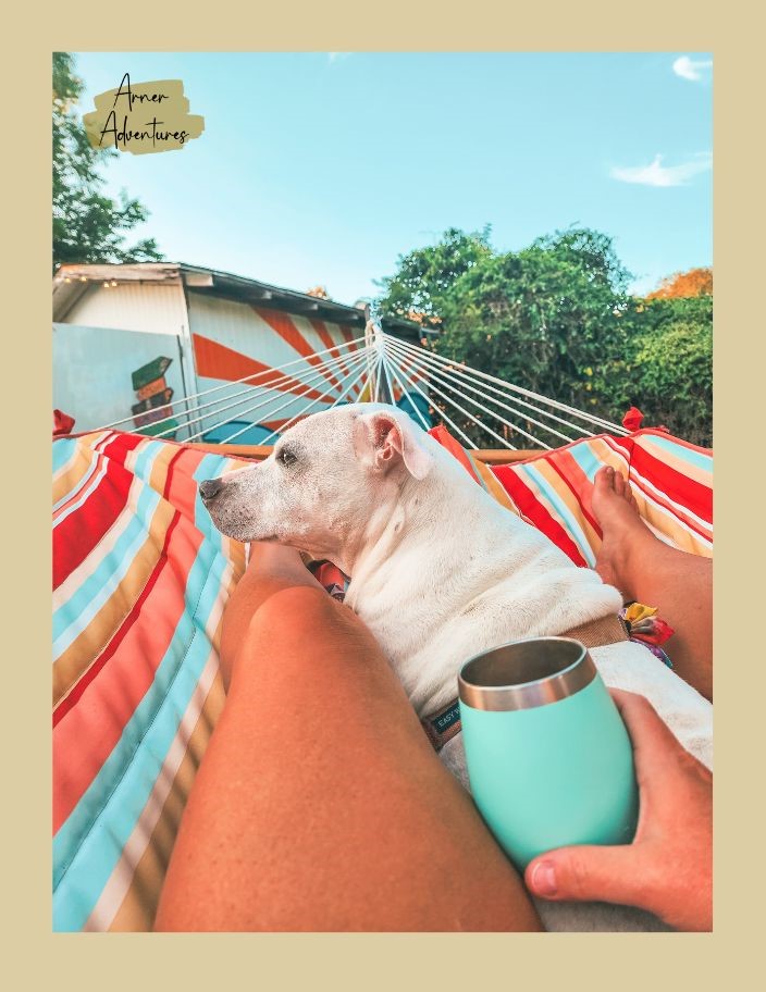 summer activities for adults