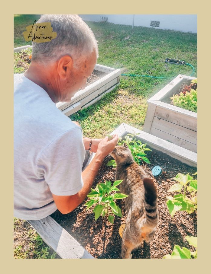 summer activities for adults