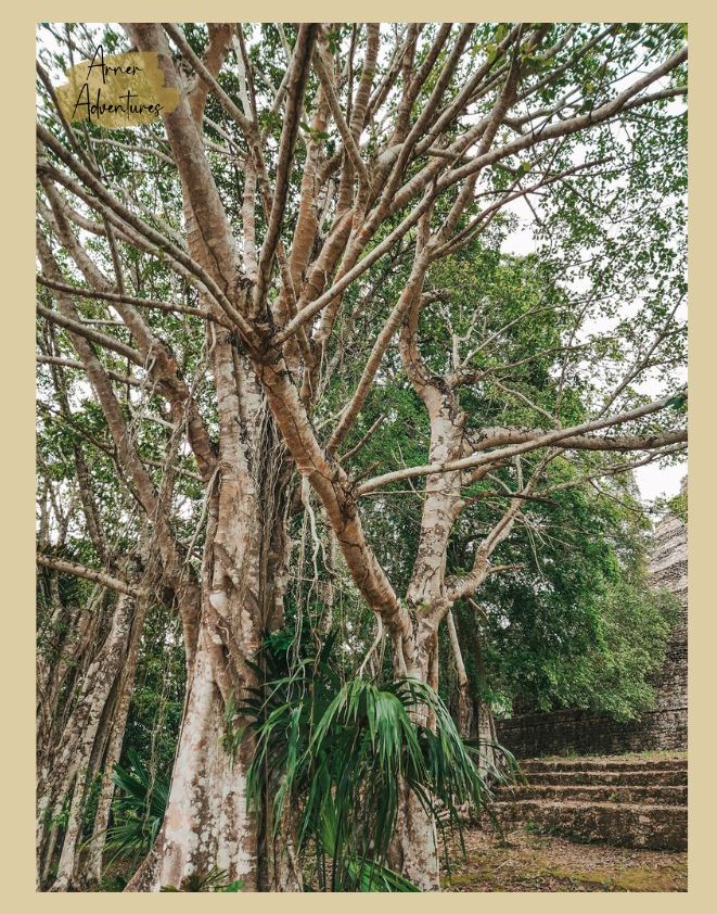 chacchoben mayan ruins