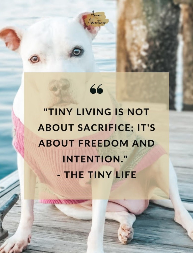 quotes about minimalism- the tiny life