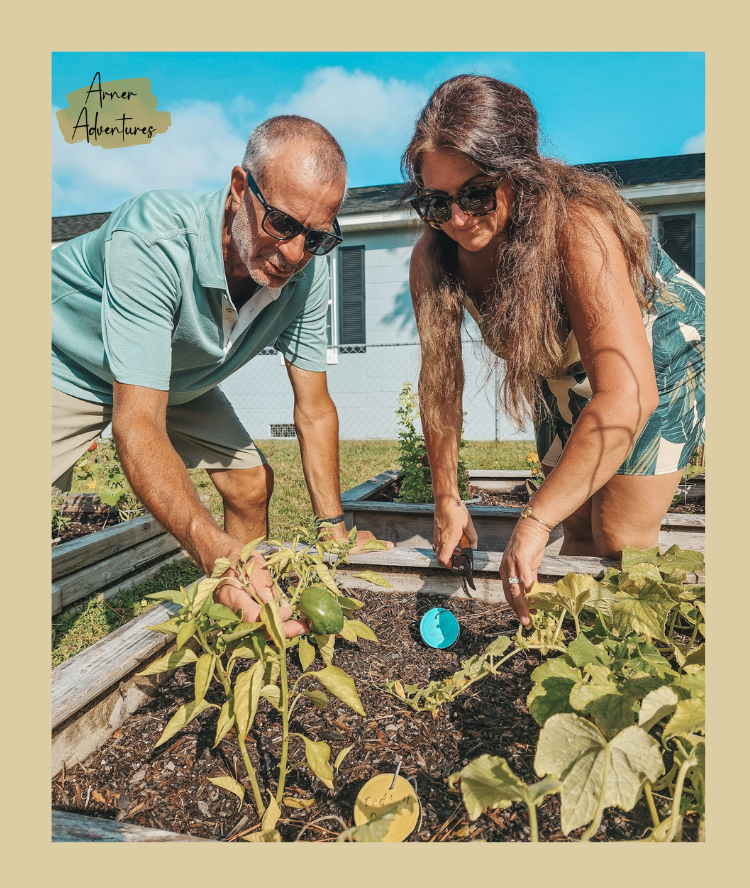 summer garden heat tips