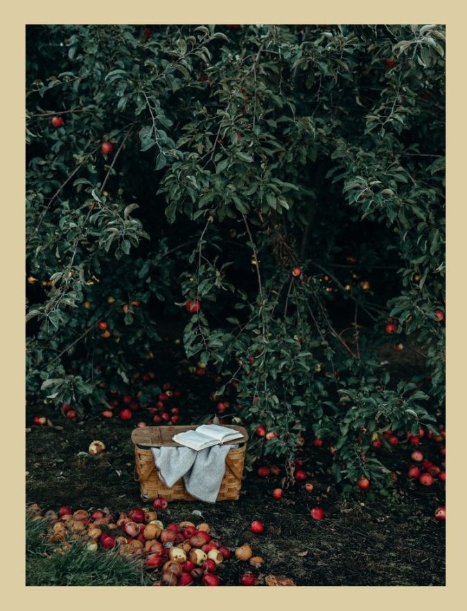 apple picking nc mountains