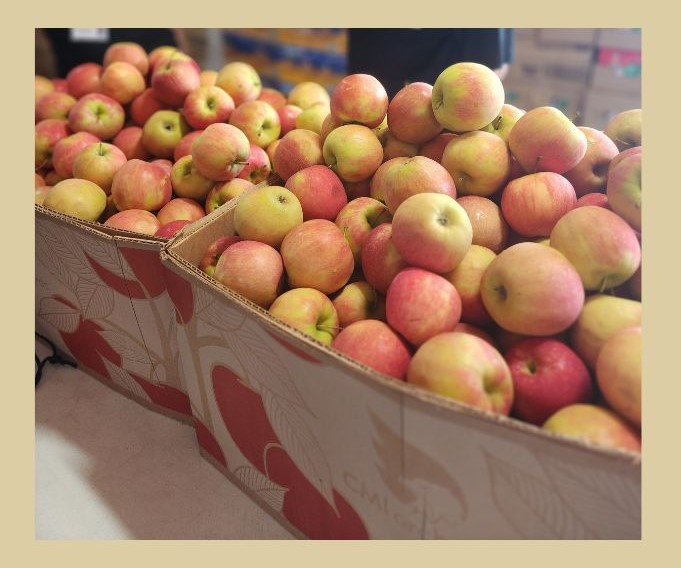 apple picking nc mountains