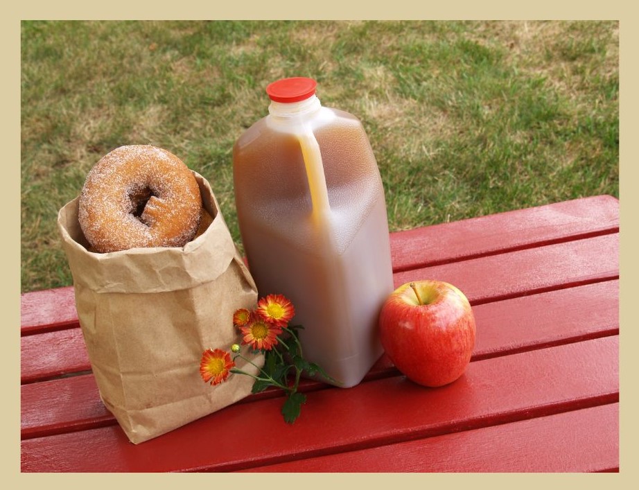 apple picking nc mountains