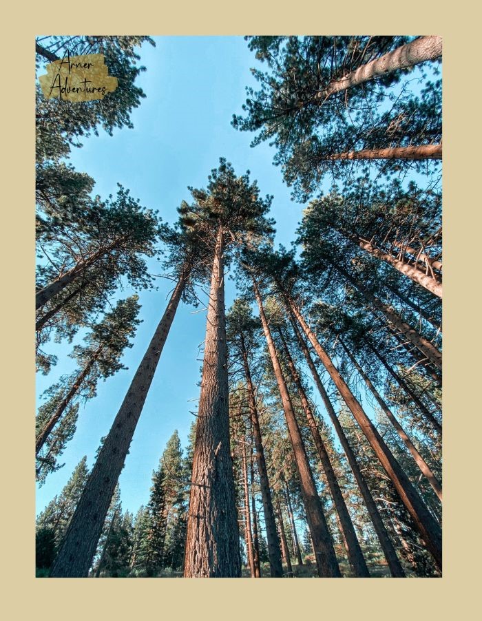 camping in north carolina mountains