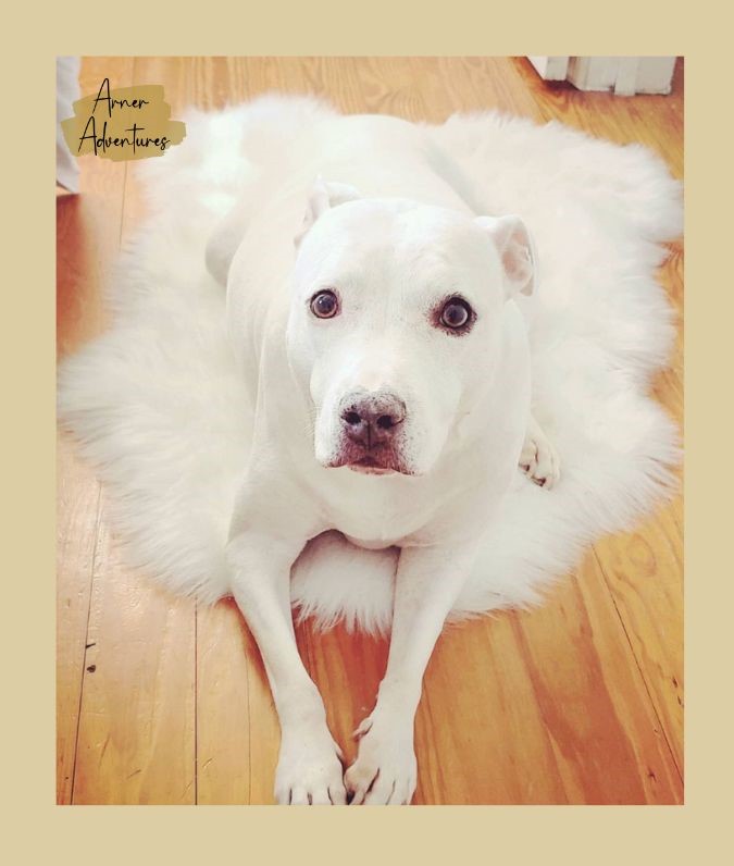 cozy minimalist bedroom