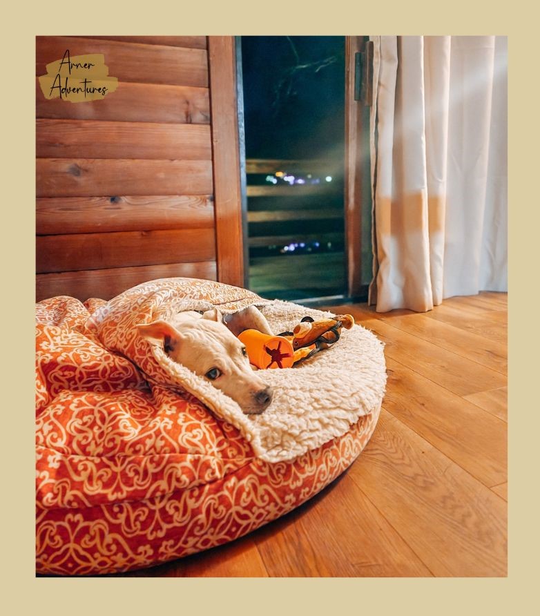 Best Places to Stay in the North Carolina Mountains