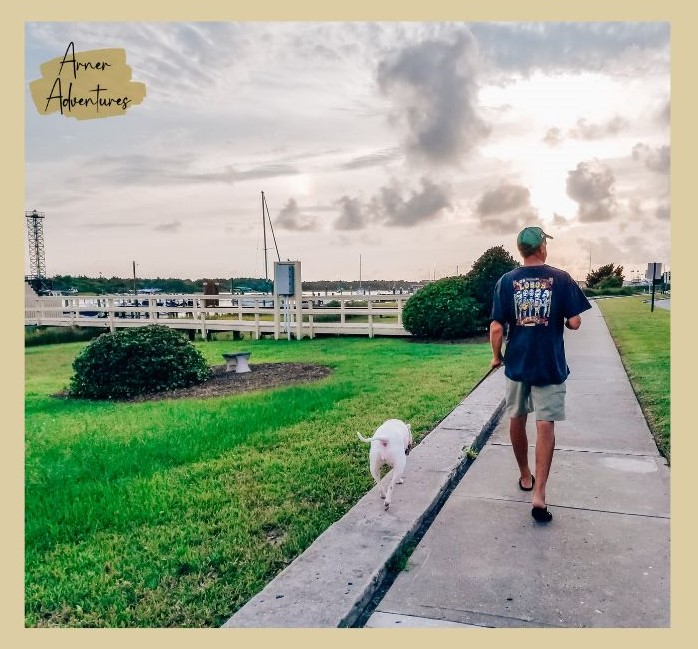 benefits of stretching- man walking dog