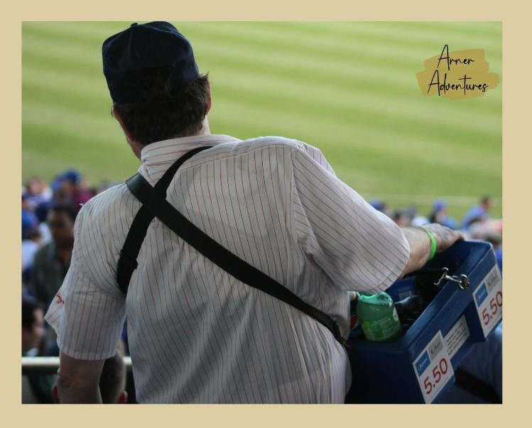 nc minor league baseball