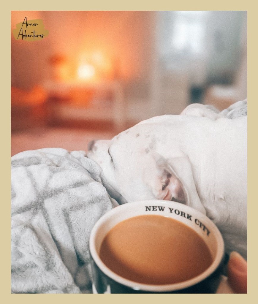 cozy minimalist living room