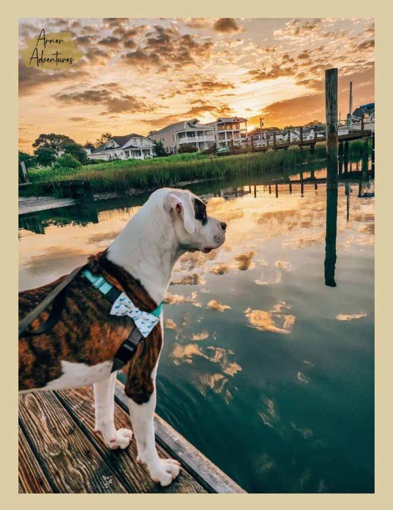 morning routine checklist