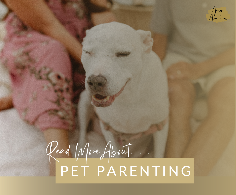 Arner Adventures Pet Parenting