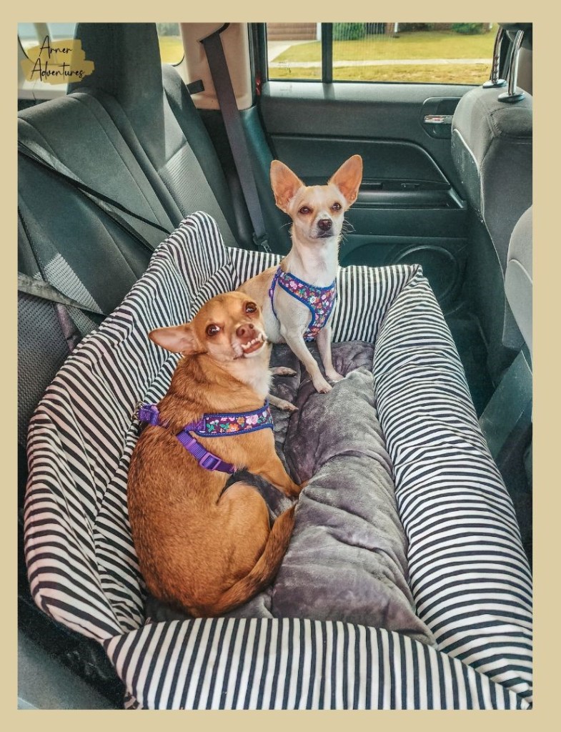 road warrior gifts - 5