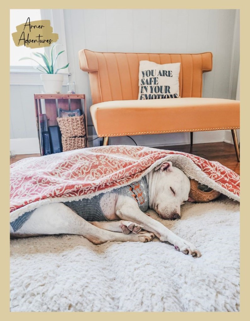 Betty White sleeping in pita