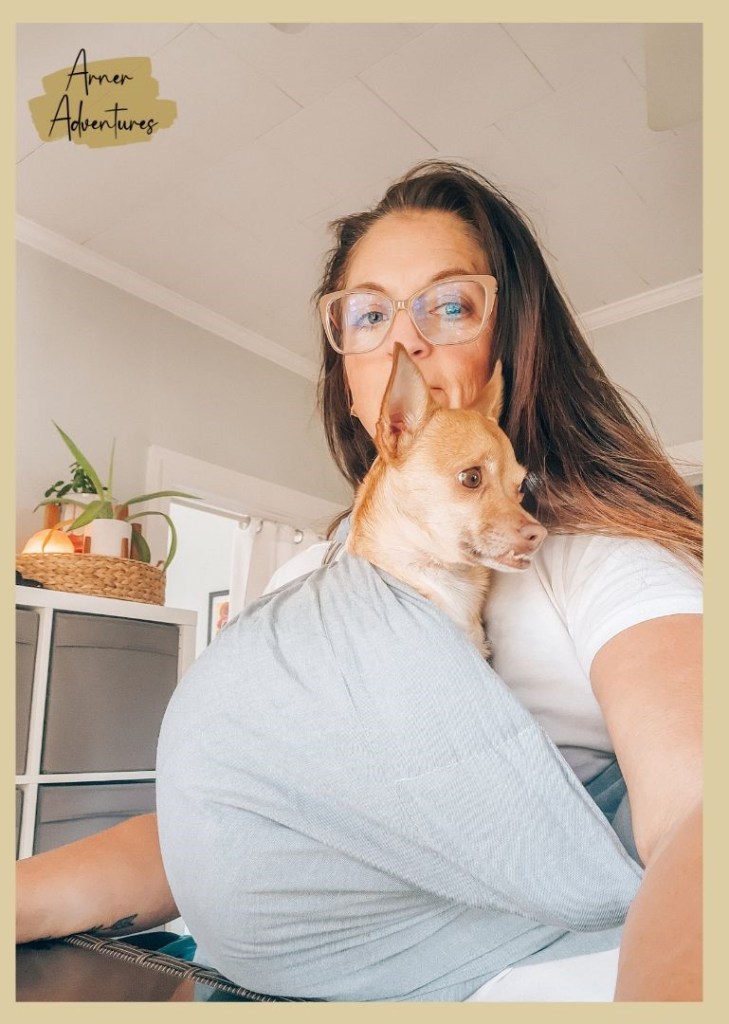 baby carrier for dog