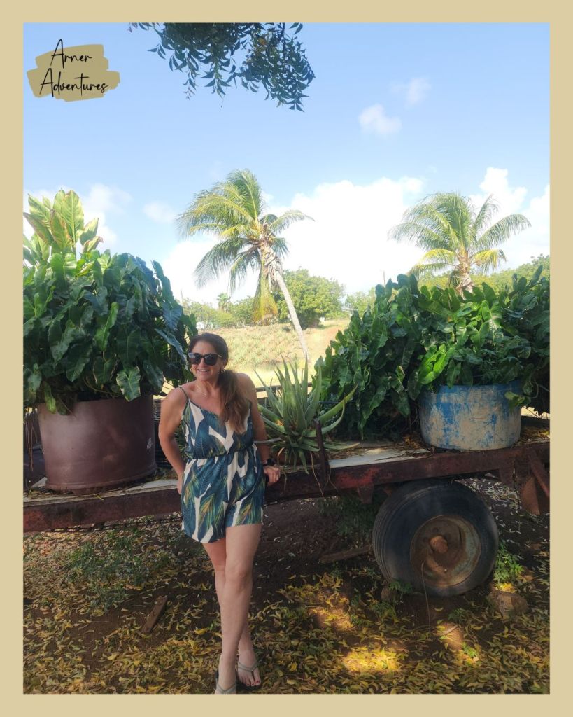 things to do in Willemstad