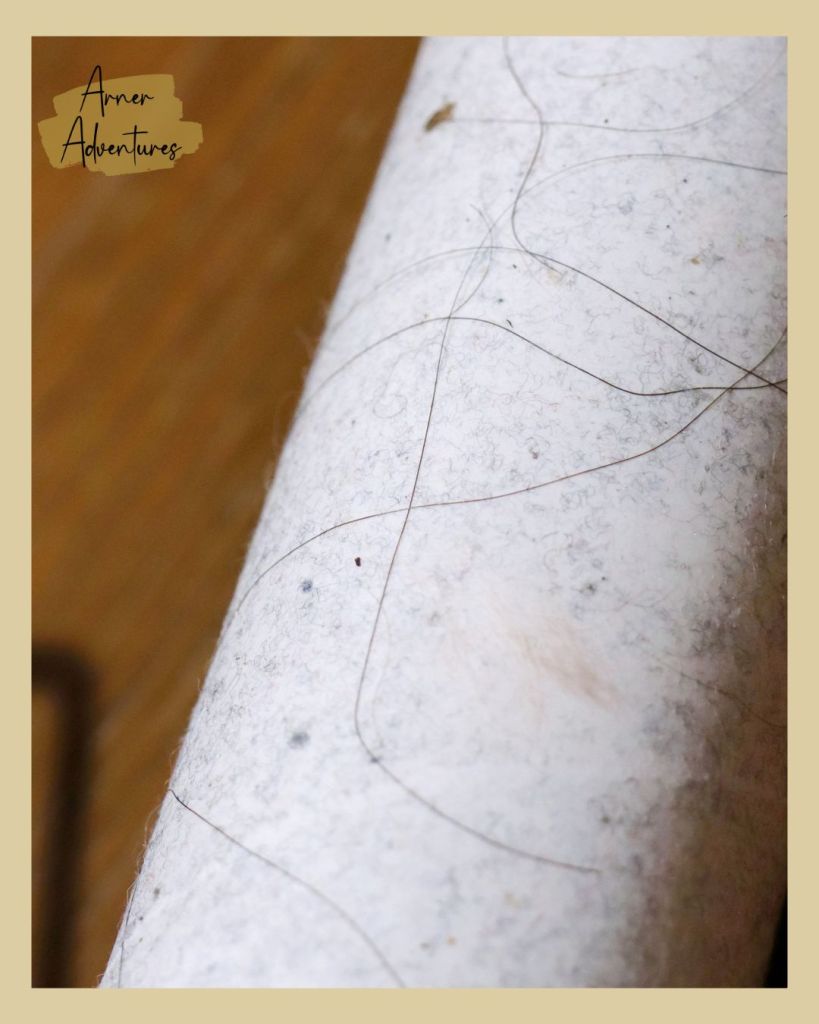 reusable lint roller