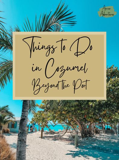 things to do in cozumel