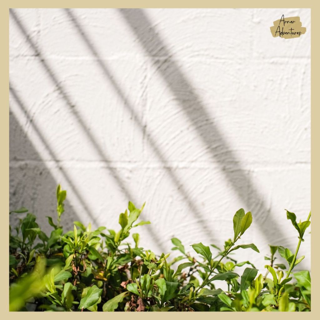 Eco-Friendly and Environmentally Friendly