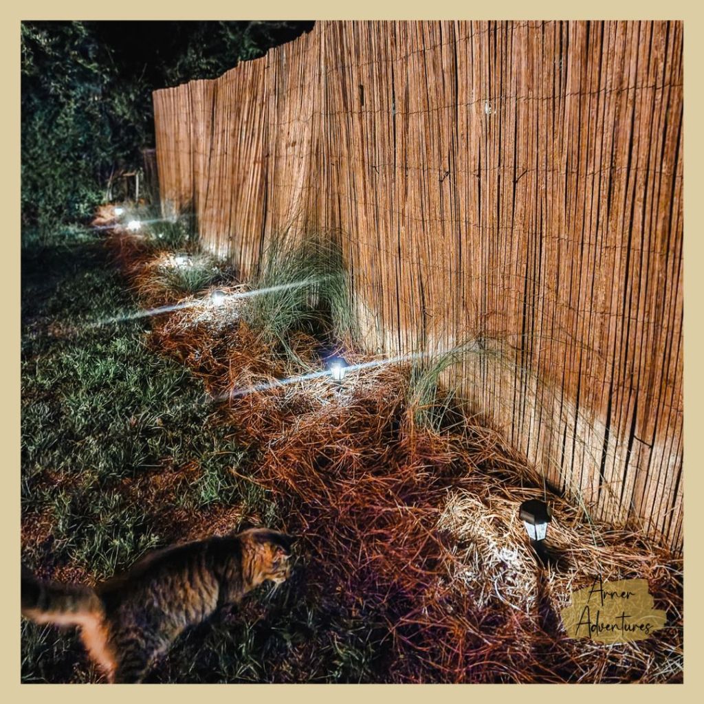 Easy DIY Privacy Fence