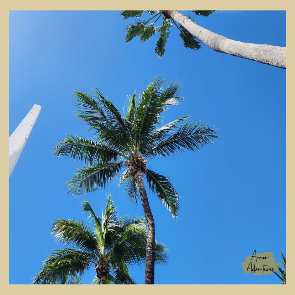 snowbird car shipping miami