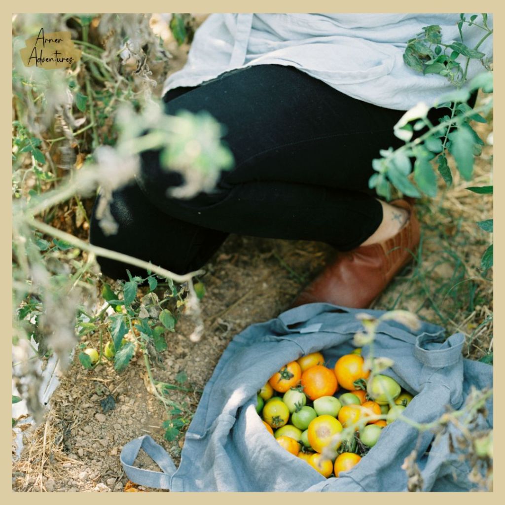 Creating Seasonal Rituals