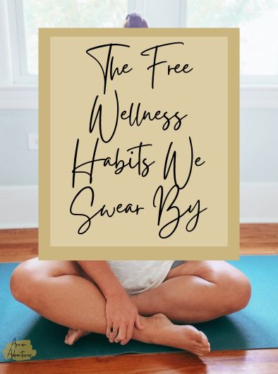 Free Wellness Habits