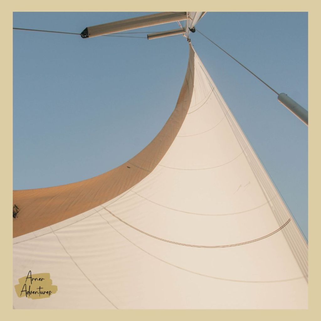 our word of the year 2026