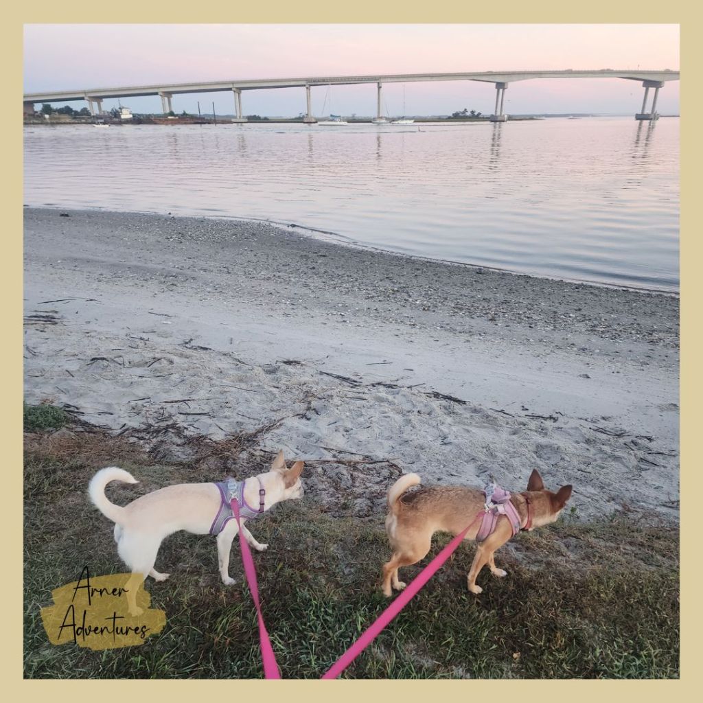 Underrated Coastal Towns in the US