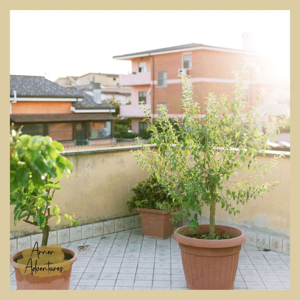 Warmest Places in the US in March